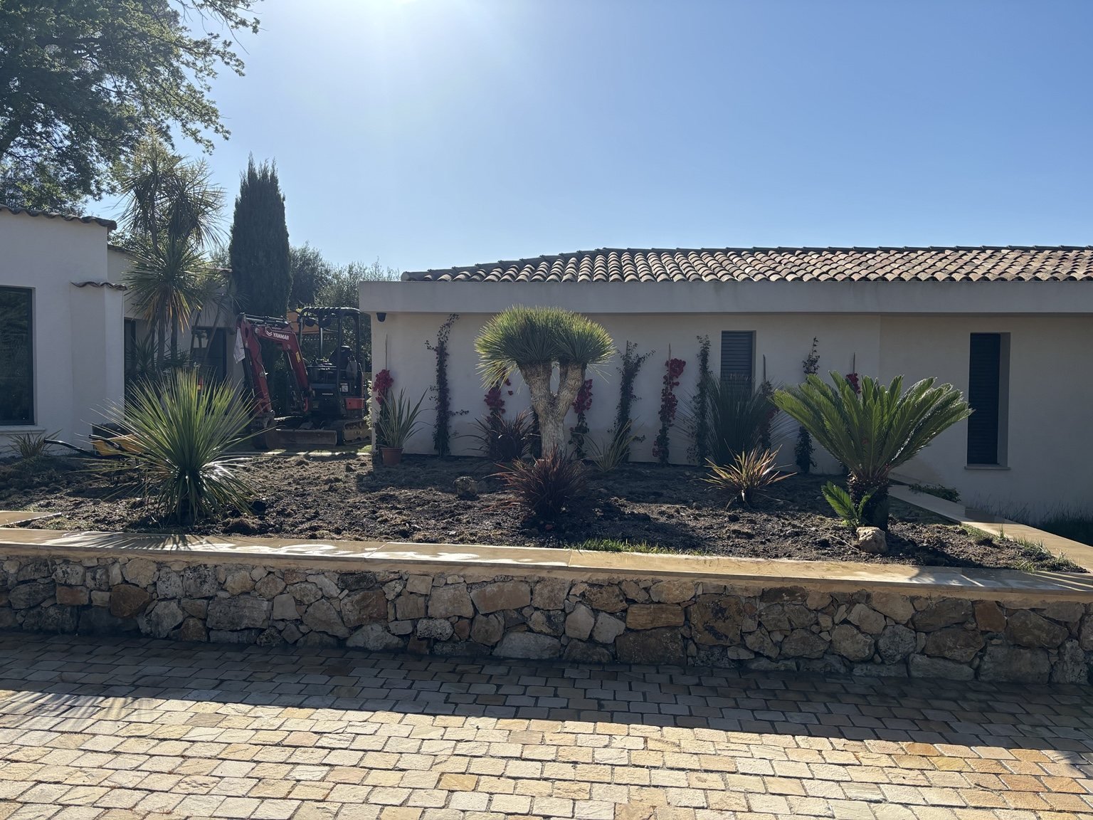 Muret en pierre et jardin planté