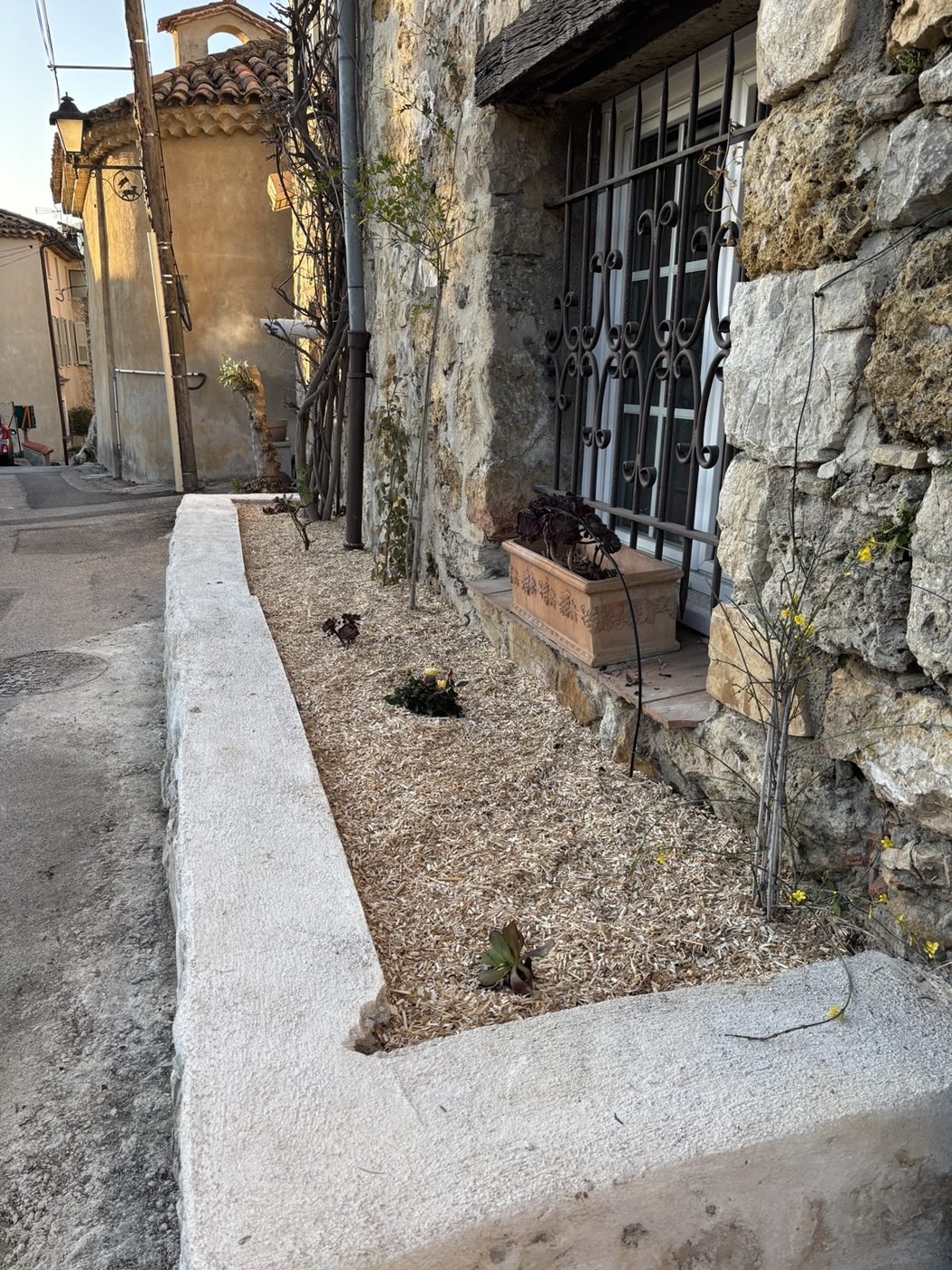Après : massif planté